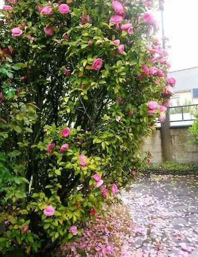 Сasa de vacaciones Maison Familiale A 10 Min Du Mont Saint Michel *