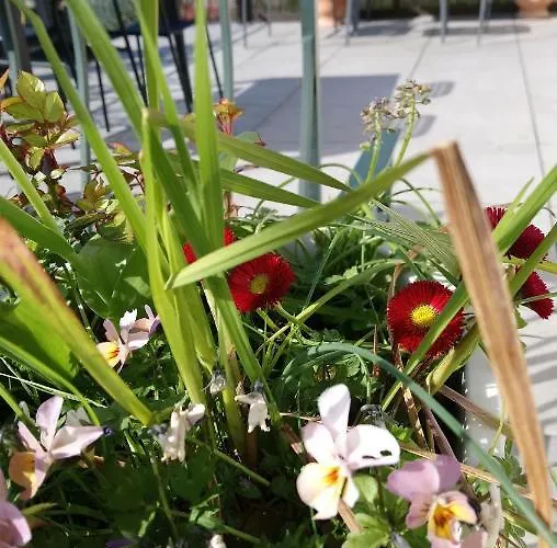 Maison Familiale A 10 Min Du Mont Saint Michel *