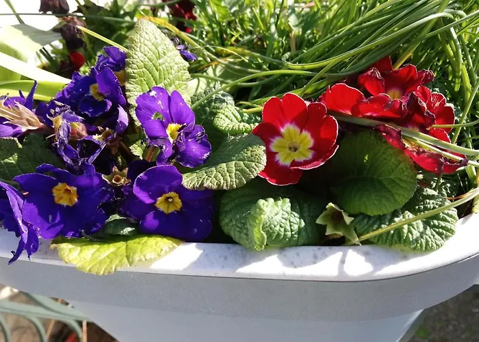 Сasa de vacaciones Maison Familiale A 10 Min Du Mont Saint Michel *